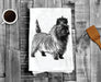 Tea Towels