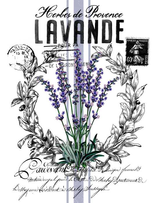 Vintage French Lavender